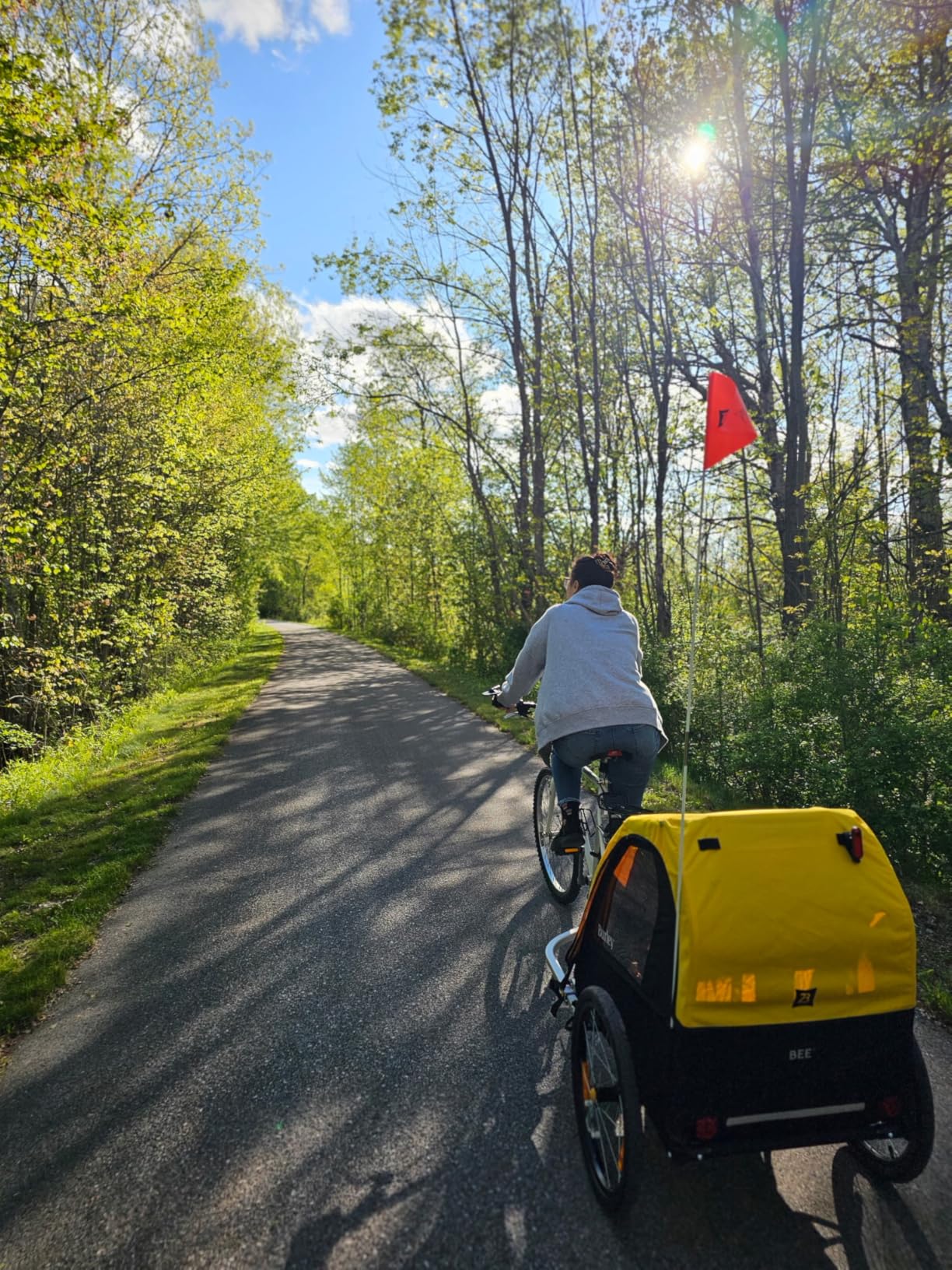 Burley Bee, 1 and 2 Seat, Lightweight, Kids Bike-Only Trailer customer photo 2