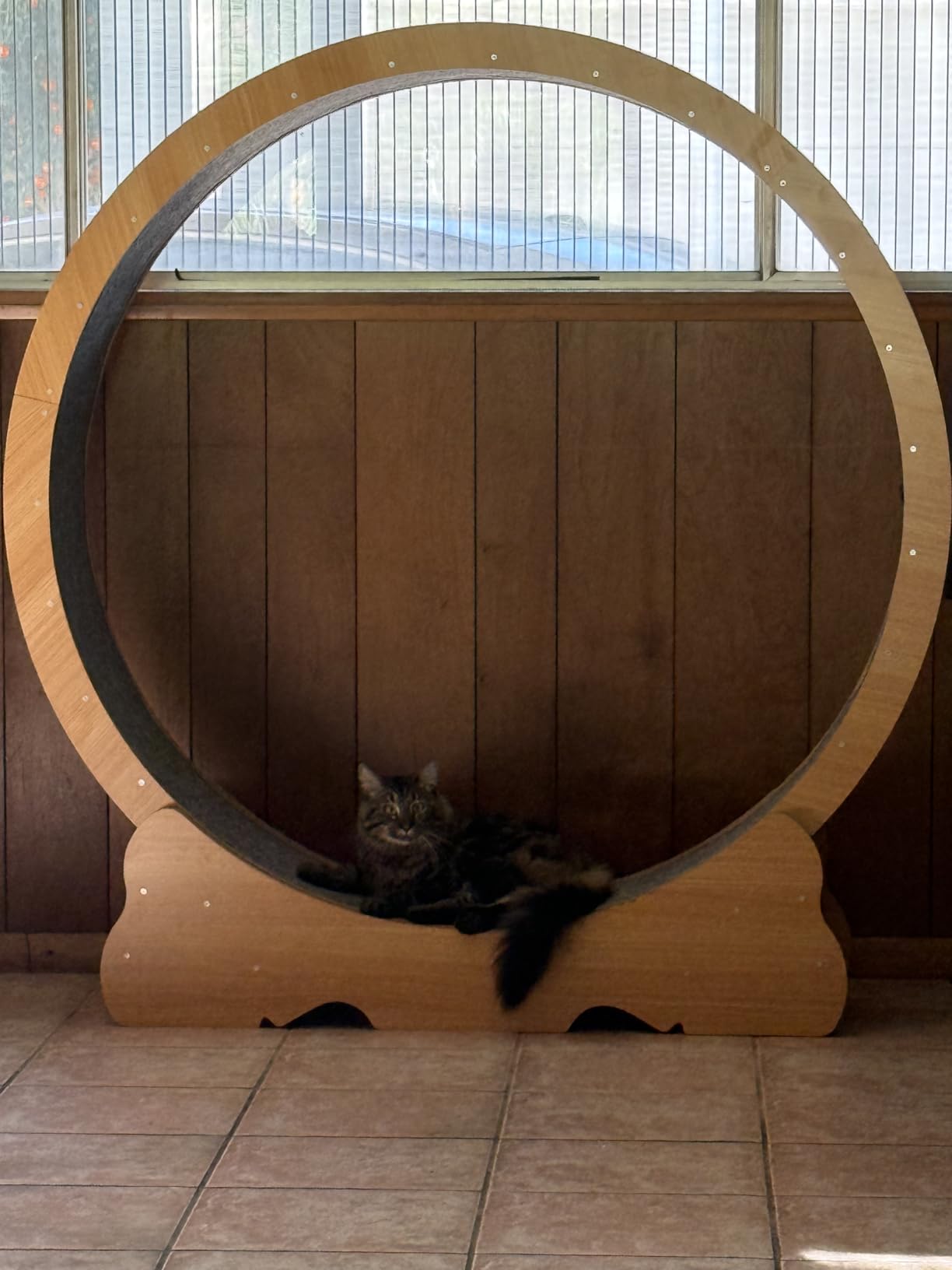 Cat Wheel, 46