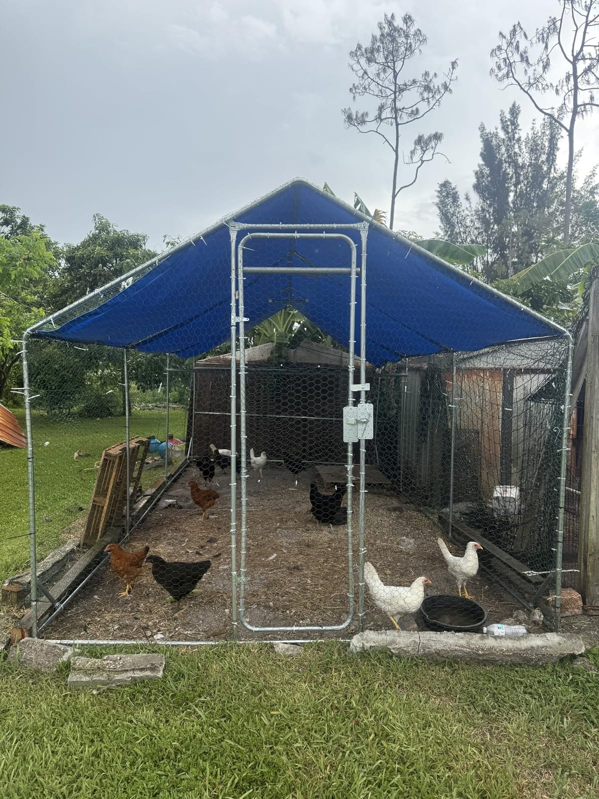 Sino Luban Large Metal Chicken Coop Run for 10 Chickens/Ducks, Chicken Runs for Yard with Waterproof Cover, Chicken Enclosure Chicken Pen Outdoor, Walk-in Poultry Cage (Upgrade Wall Support Brace) customer photo 1
