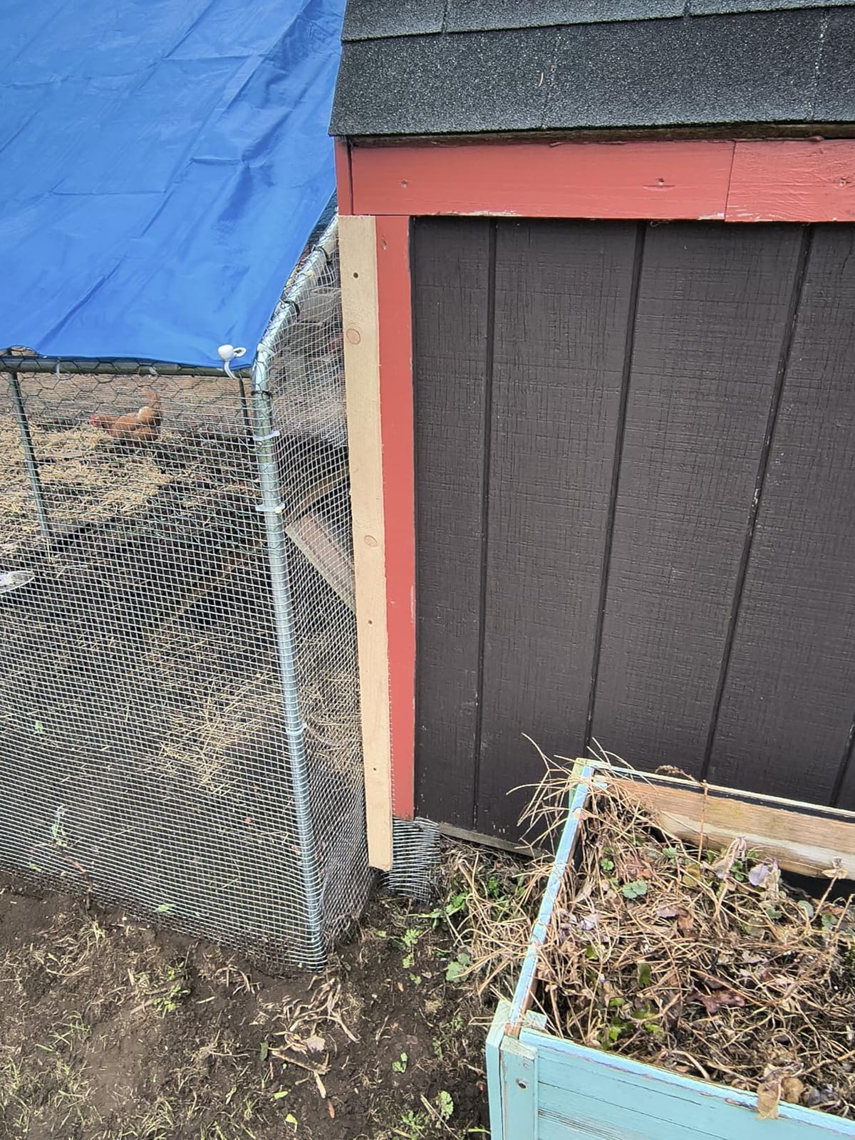Sino Luban Large Metal Chicken Coop Run for 10 Chickens/Ducks, Chicken Runs for Yard with Waterproof Cover, Chicken Enclosure Chicken Pen Outdoor, Walk-in Poultry Cage (Upgrade Wall Support Brace) customer photo 2