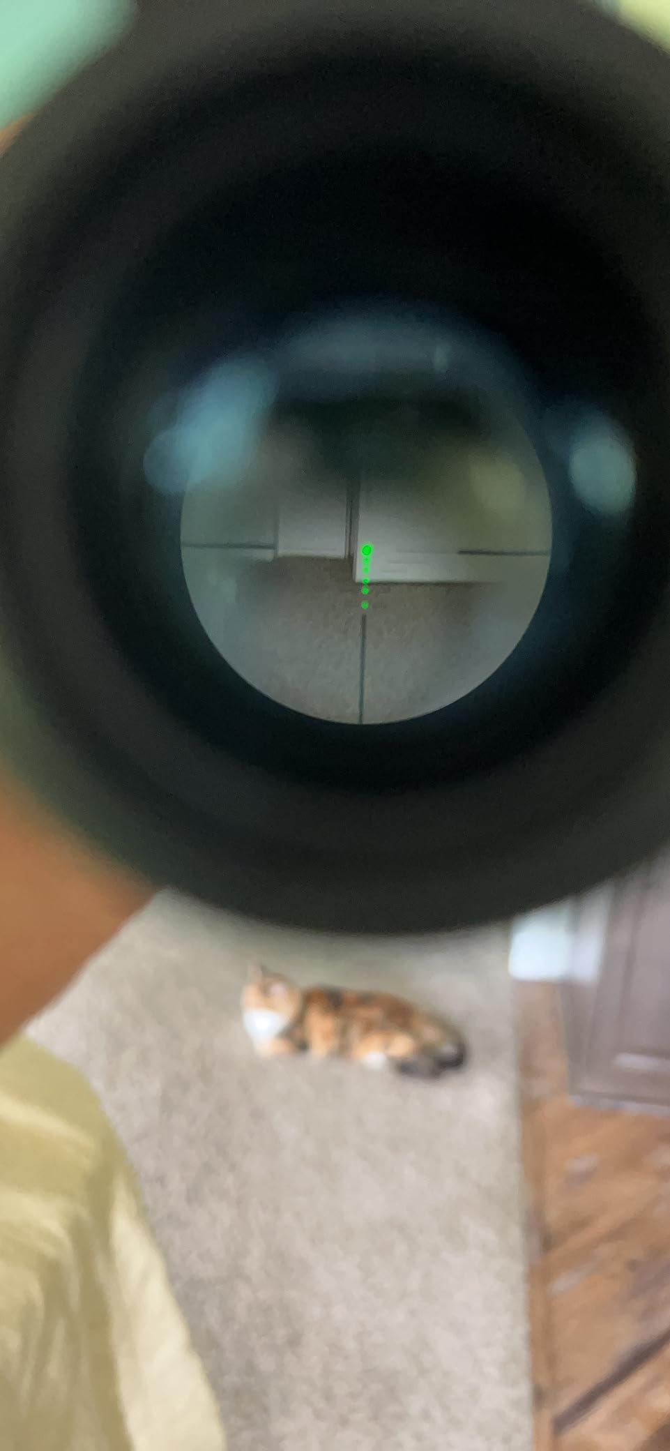 CVLIFE 4x32 Crossbow Scope, Red Green Illuminated Compact Crossbow Scopes for Hunting 20-100 Yards, Circles and Rangefinder Etched Glass Reticle Optic customer photo 2