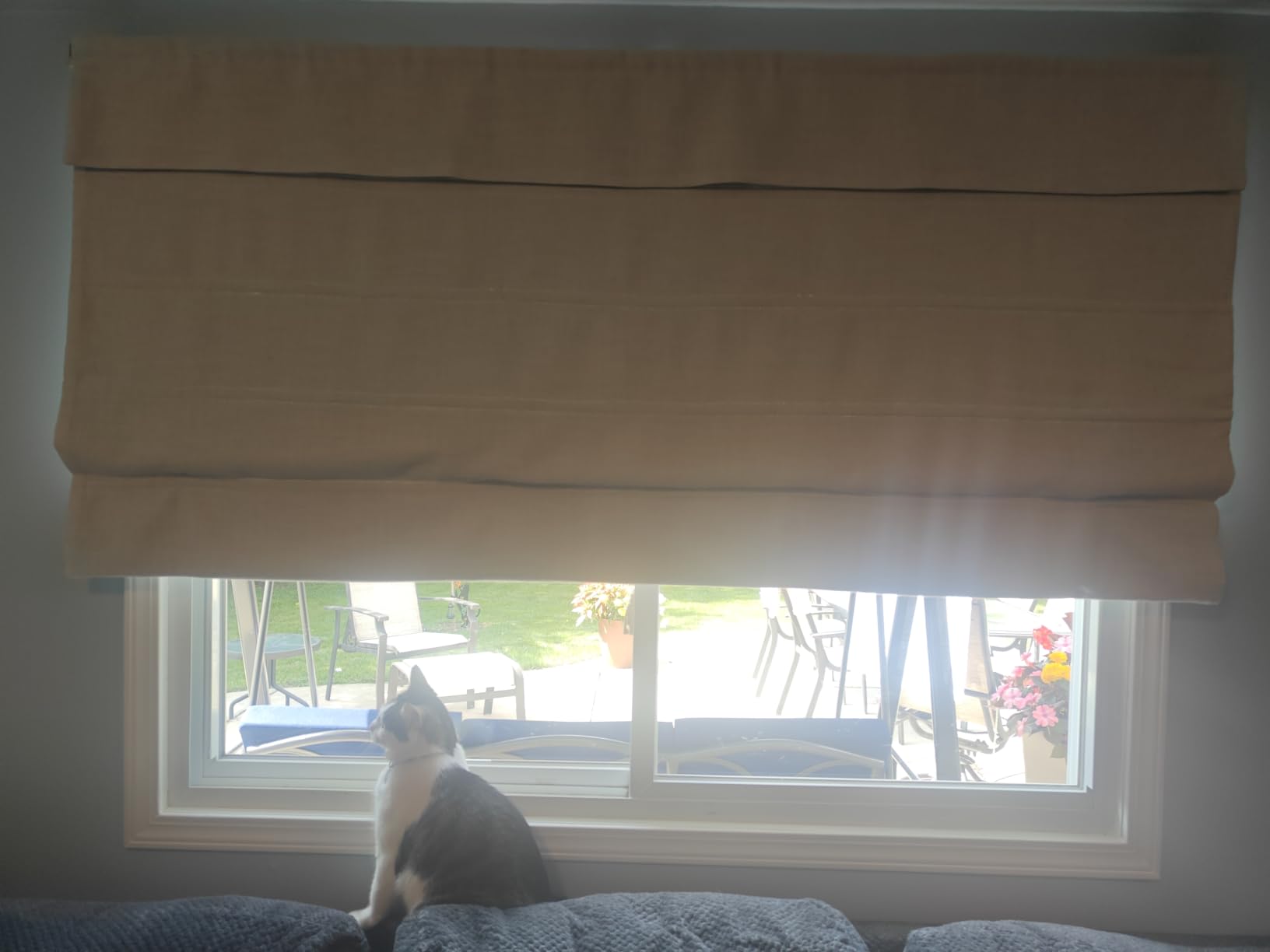 Cordless Linen Roman Shades, Natural Custom Fabric Room Darkening Roman Window Shades Blinds for Doors, French Doors, Kitchen Windows, Bathroom Windows customer photo 2