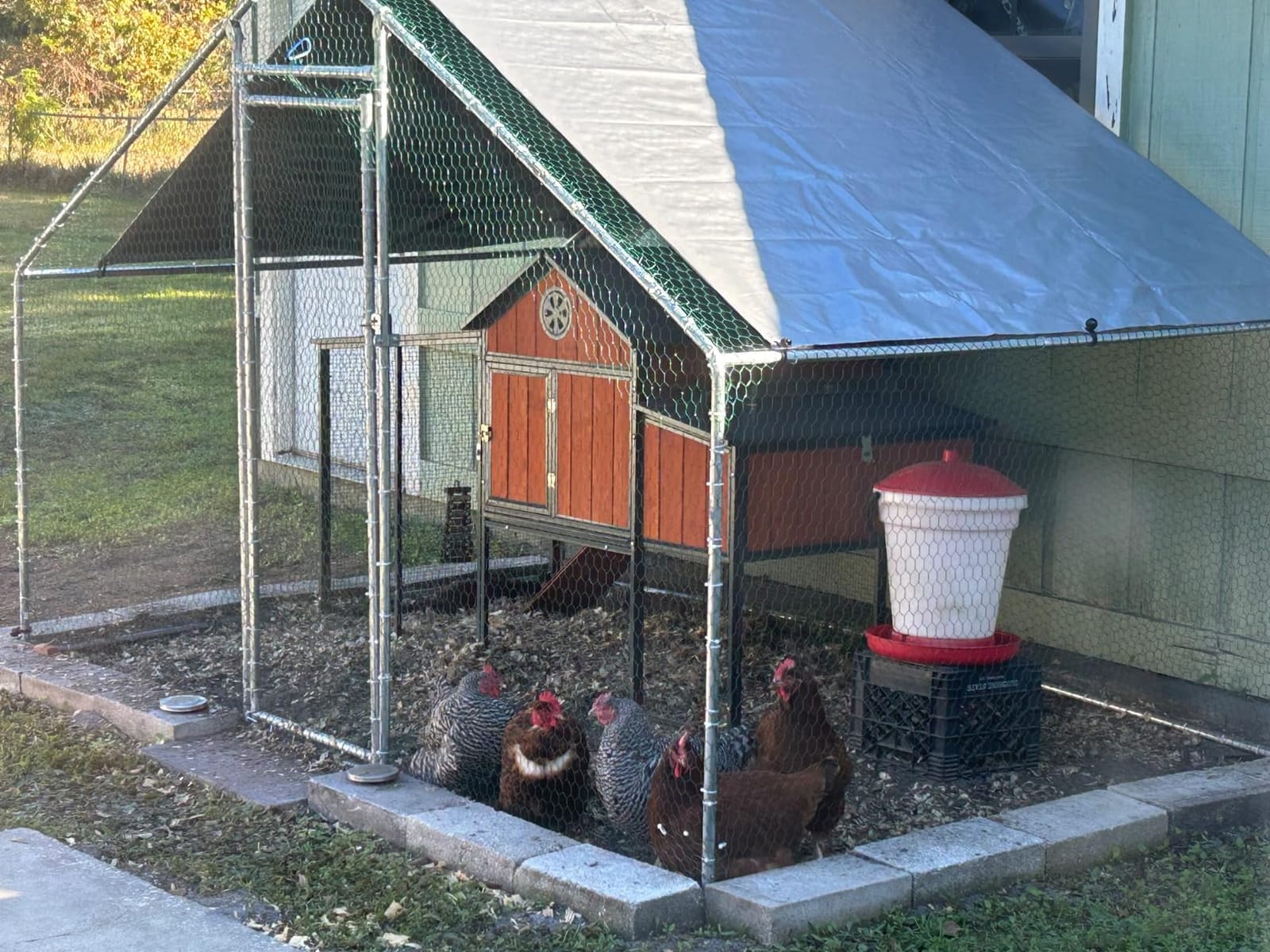Large Chicken Coop Metal Chicken Runs for Yard with Cover Outdoor Pet Pens Poultry Cage Duck Rabbit House Backyard Use customer photo 1