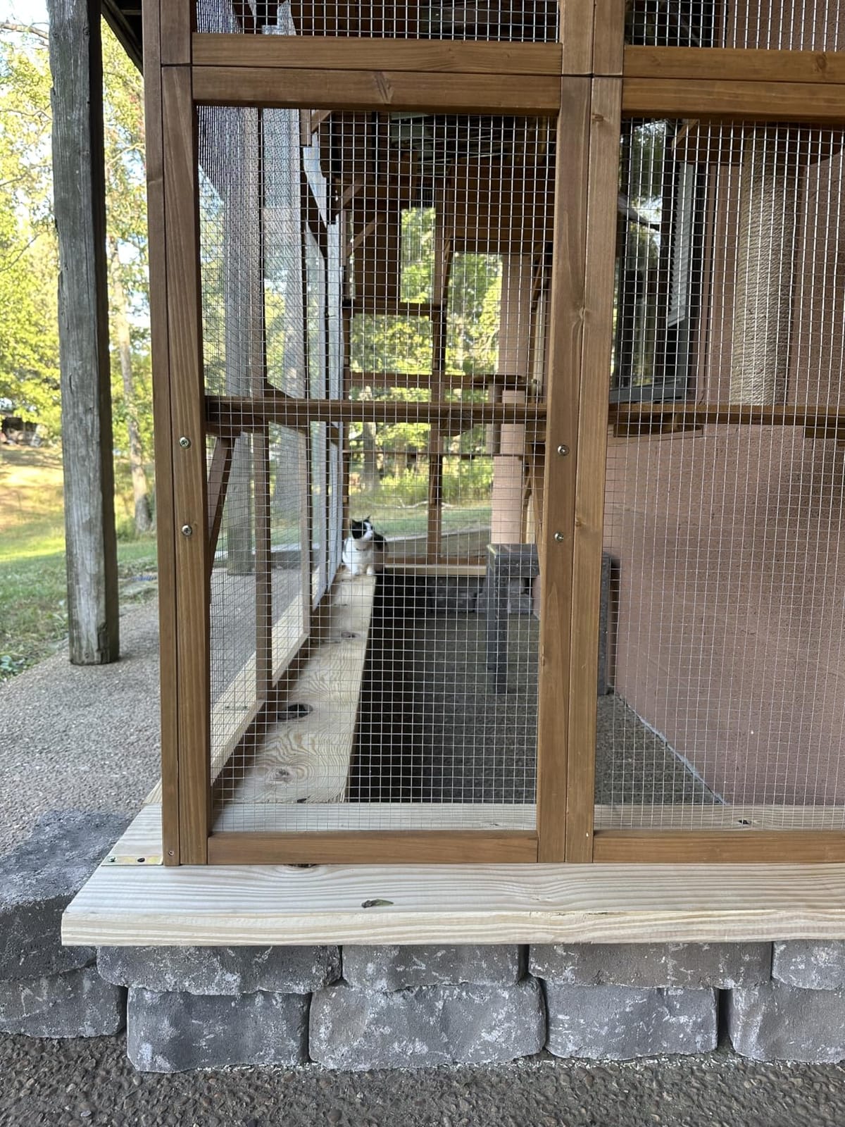 PawHut Catio Outdoor Cat Enclosure Window, 118