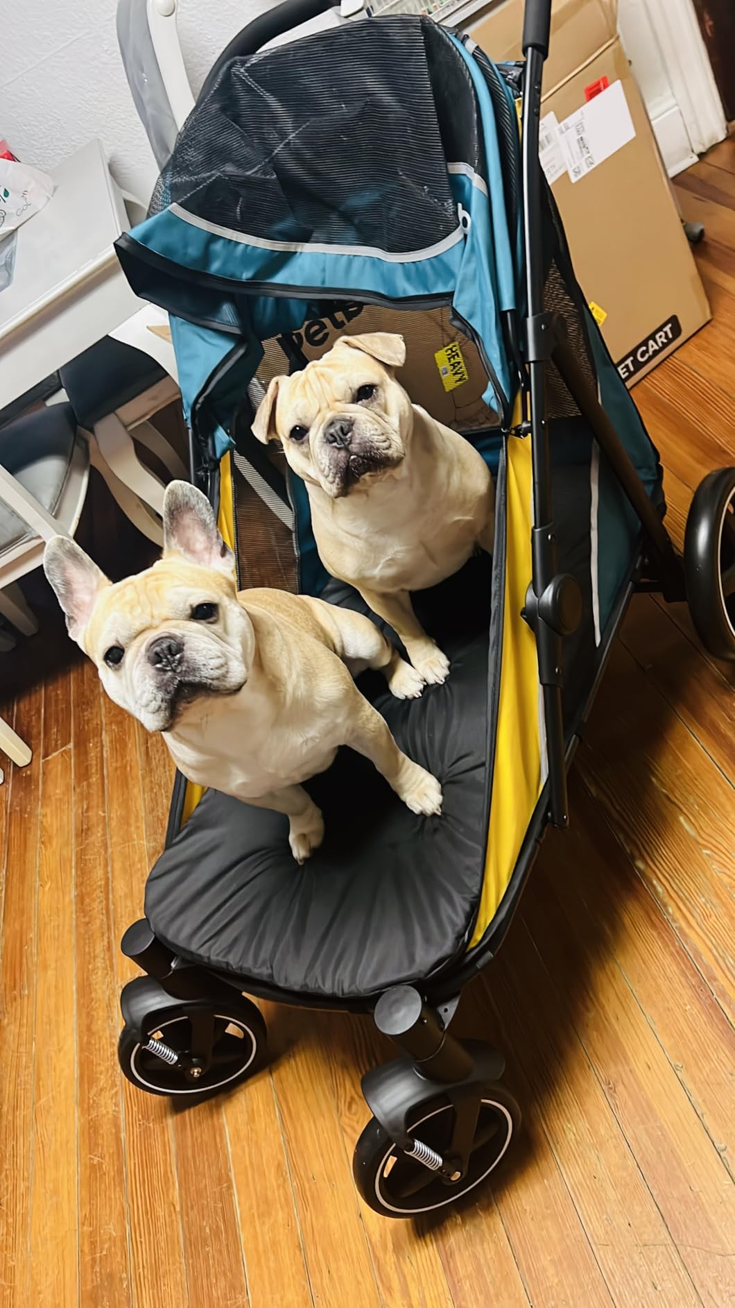 Petbobi Dog Stroller for Large Medium Dogs up to 80 lbs, Dual Entry | One-Hand Fold, One-Foot Brake, All Terrain 360 Swivel Front Wheel, Heavy Duty Air Mesh Wagon, Low Step-In for Senior Pets customer photo 1