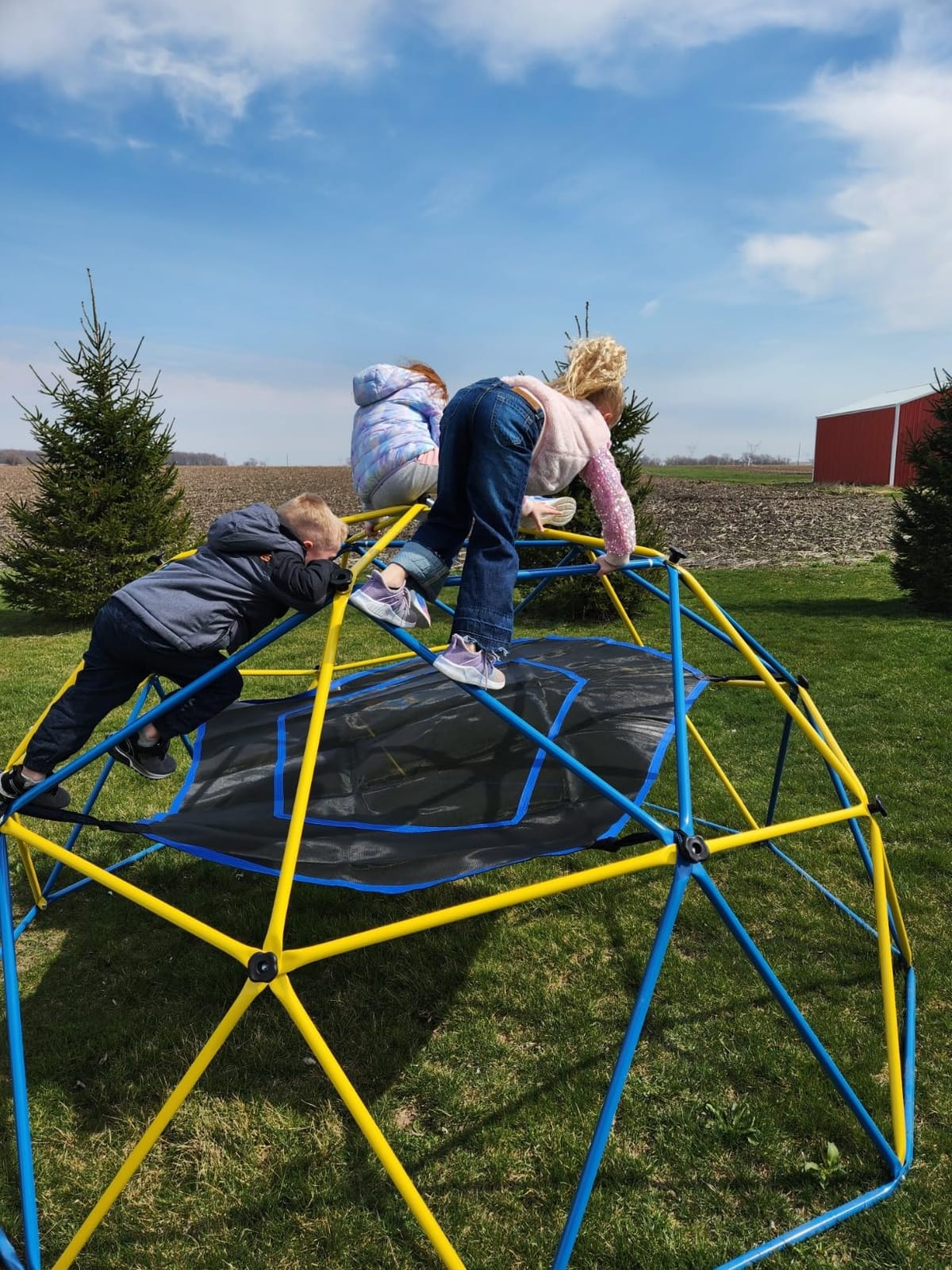Hapfan 10 ft Climbing Dome with Hammock and Swing Seat - Heavy Duty Metal Dome Climber - ASTM Certified, 800 lbs, Rust-Resistant, Moveable for Mowing, 3D Setup, Ages 3-12 customer photo 2