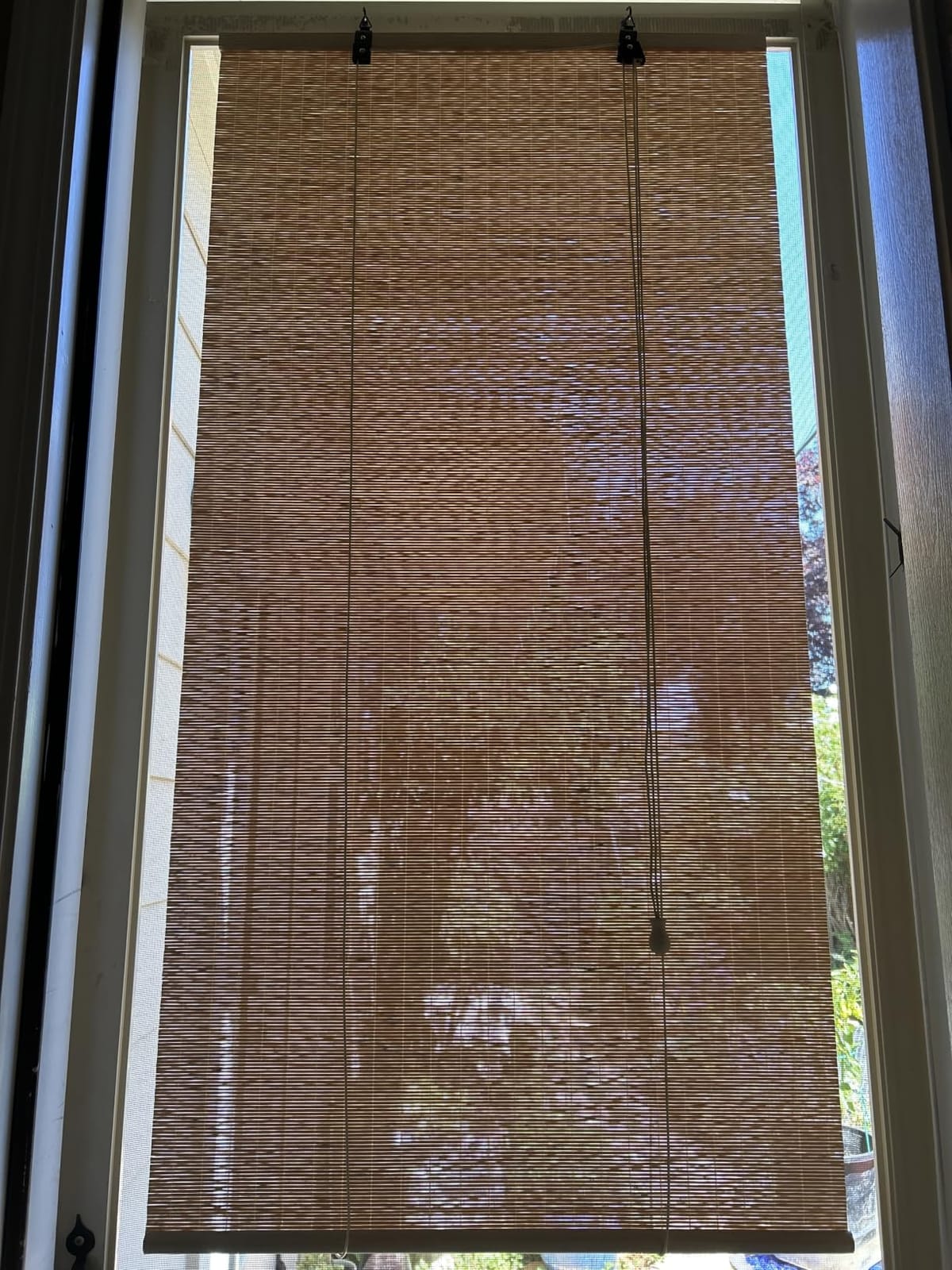 BAYUE Bamboo Blinds, Roll Up Window Shades with Light Filtering for Home | Bamboo Shades for Indoor Windows, Easy Install Bamboo Blinds for adding natural style to living rooms, offices, and sunrooms customer photo 2