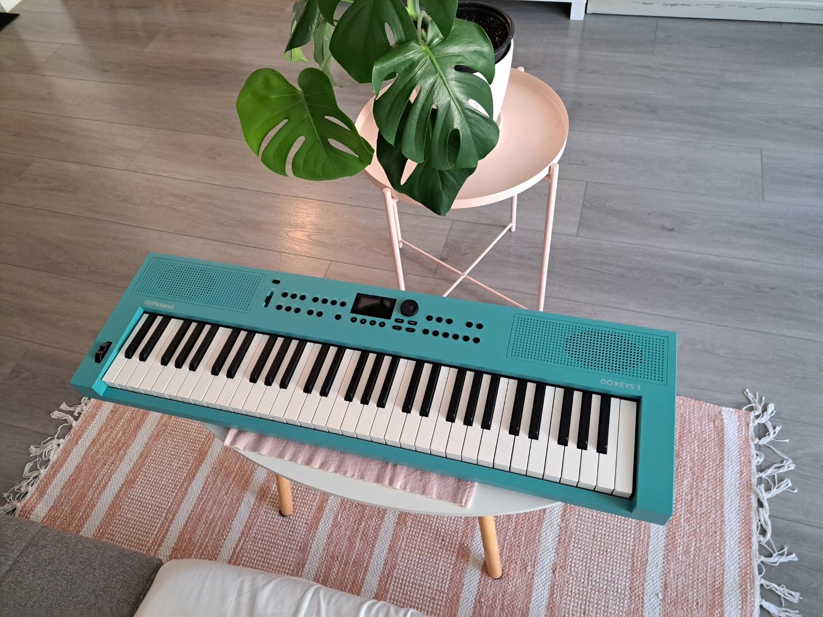 Roland GO:KEYS 3 Music Creation Keyboard | 61-Note Keyboard | Built-In Stereo Speakers | Bluetooth Audio/MIDI Support for Music Streaming - Dark Red customer photo 1