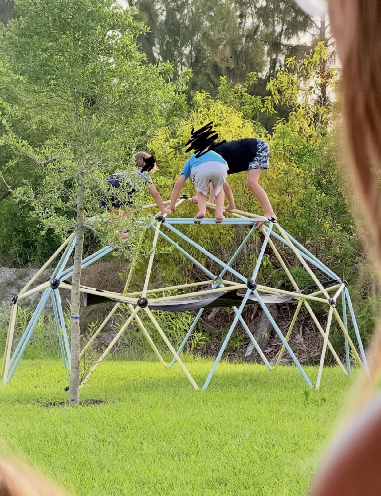 VEVOR Climbing Dome, 10FT Geometric Dome Climber with Hammock and Swing, Jungle Gym Supports 750LBS and Easy Assembly for Kids 3 to 10 Years Old, with Climbing Grip, Outdoor Backyard Play Equipment customer photo 2