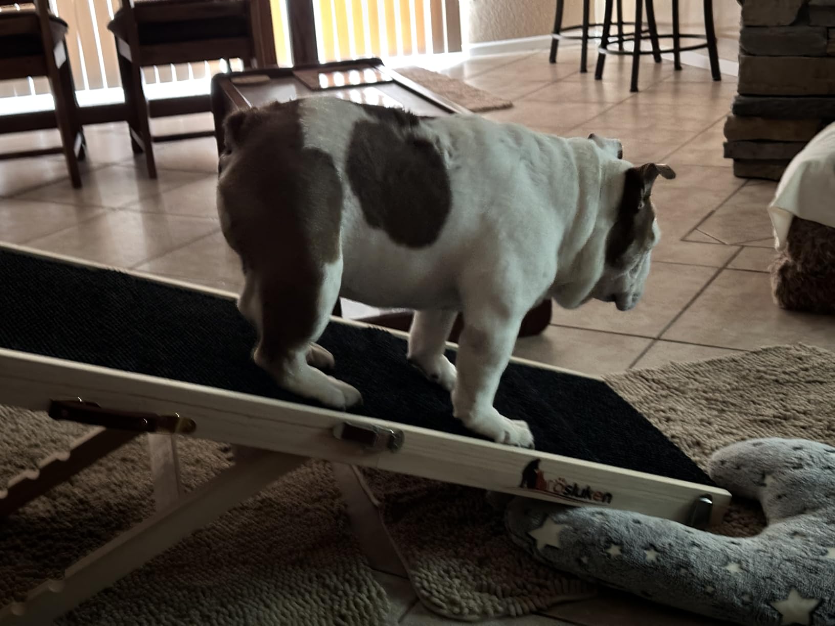2026 Upgraded Dog Ramp for Bed, 64