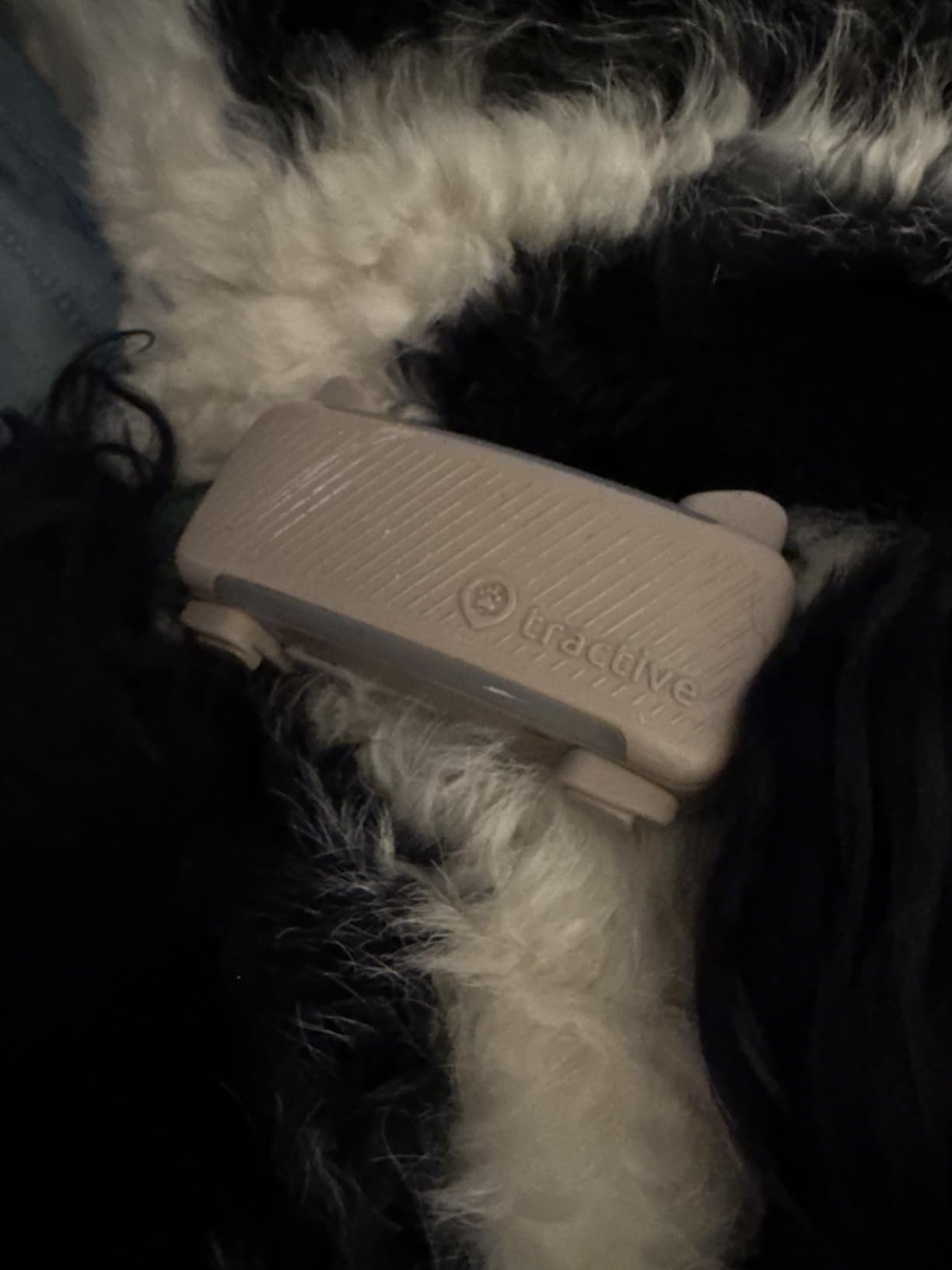 Tractive Smart Dog GPS Tracker | Live Pet Tracker with Virtual Fence | Vital Signs Monitoring of Heart & Respiratory Rate | Bark Monitoring | Dog Collar Attachment (Mint) customer photo 1