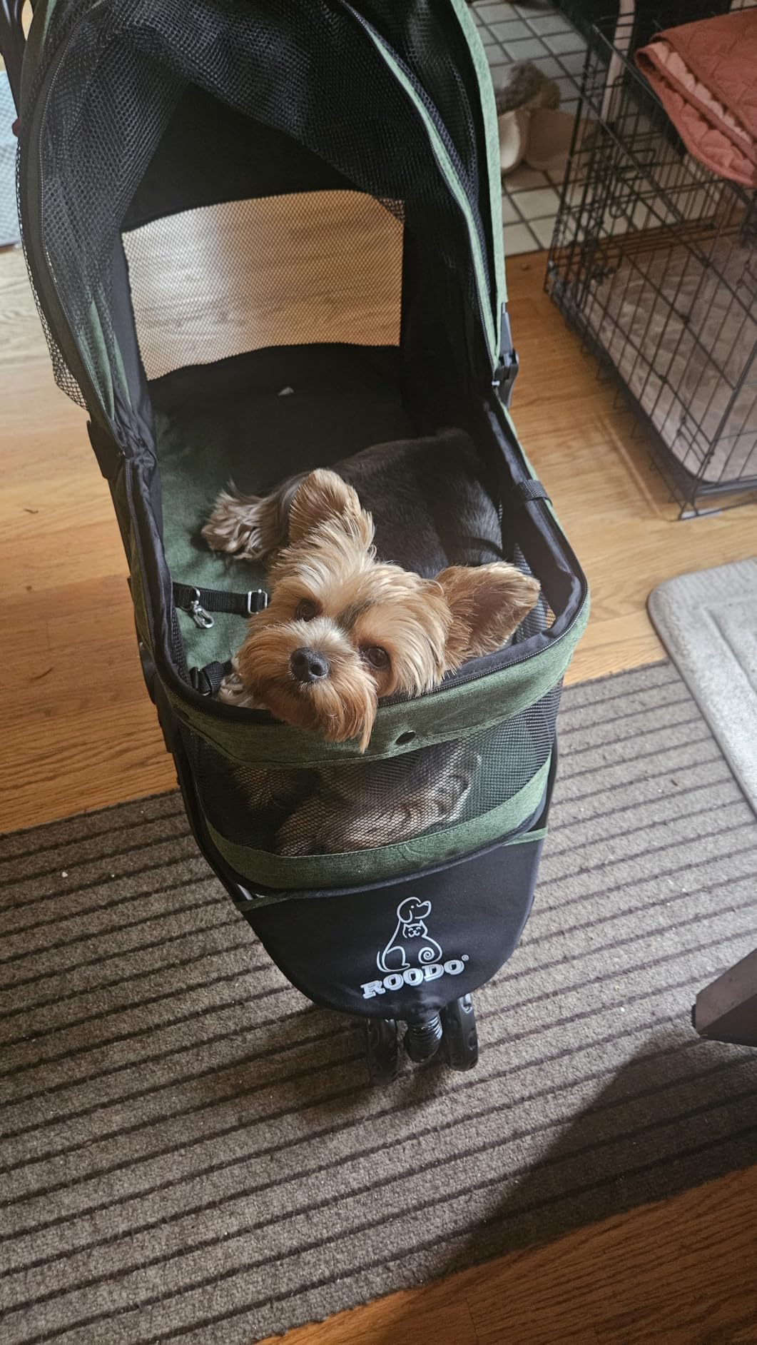 ROODO 3 Wheel Dog Pet Cat Stroller Best Lightweight Foldable Compact Portable Jogger All Terrain Travel Pet Gear Puppy Kitty Stroller for up to 30lbs Medium Small Dogs and Cats(Light Khaki) customer photo 1