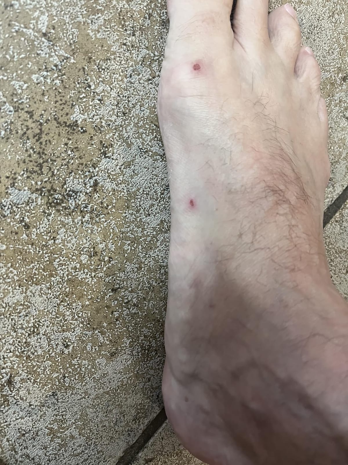 Simms Pursuit Shoe customer photo 1