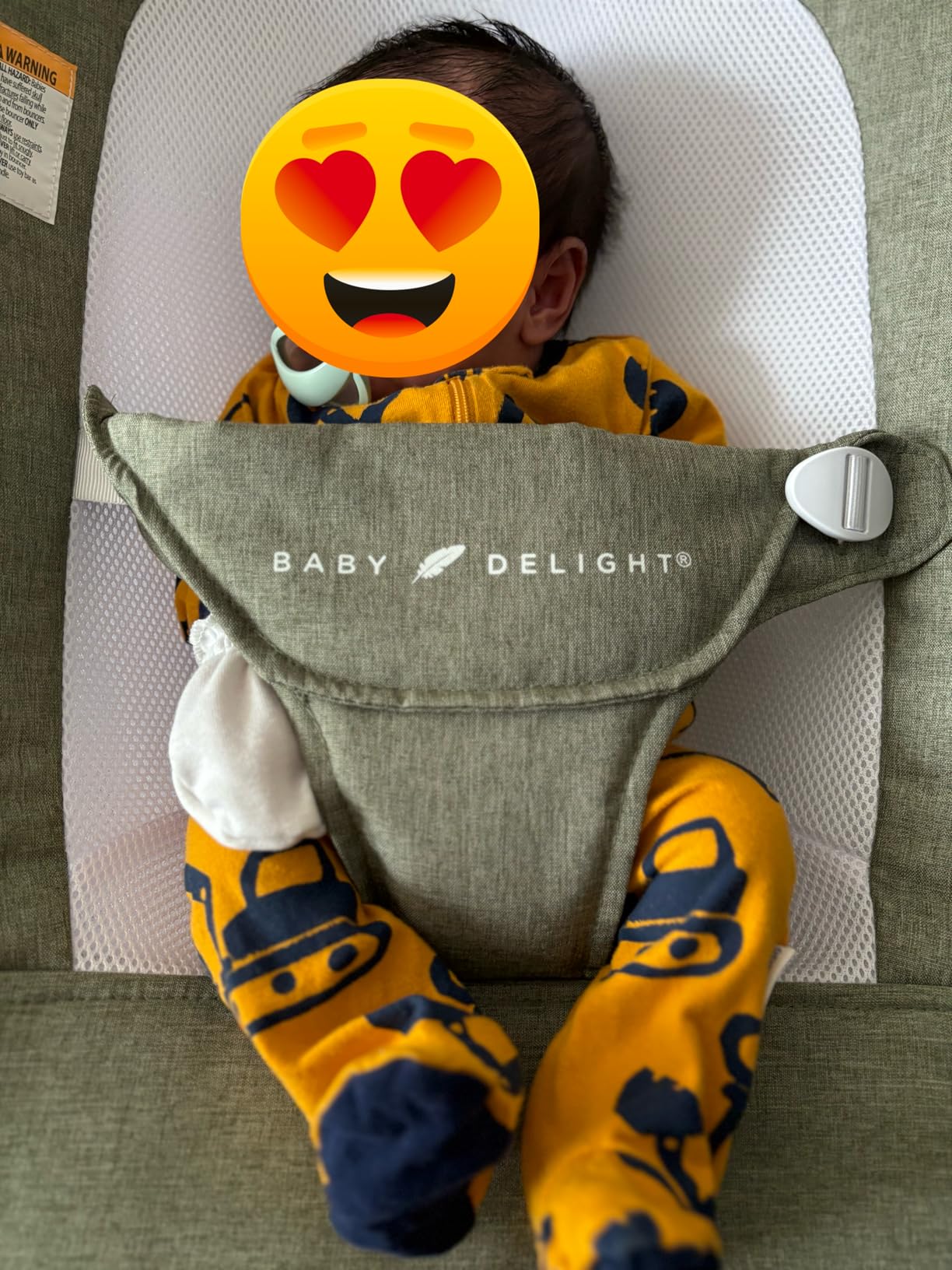 Baby Delight Highland Baby Bouncer, Sage Tweed | For Infants 0-6 Months, 3-Position Recline, Adjustable 3-Point Harness, Secure Locking Mechanism, Folds Flat customer photo 1