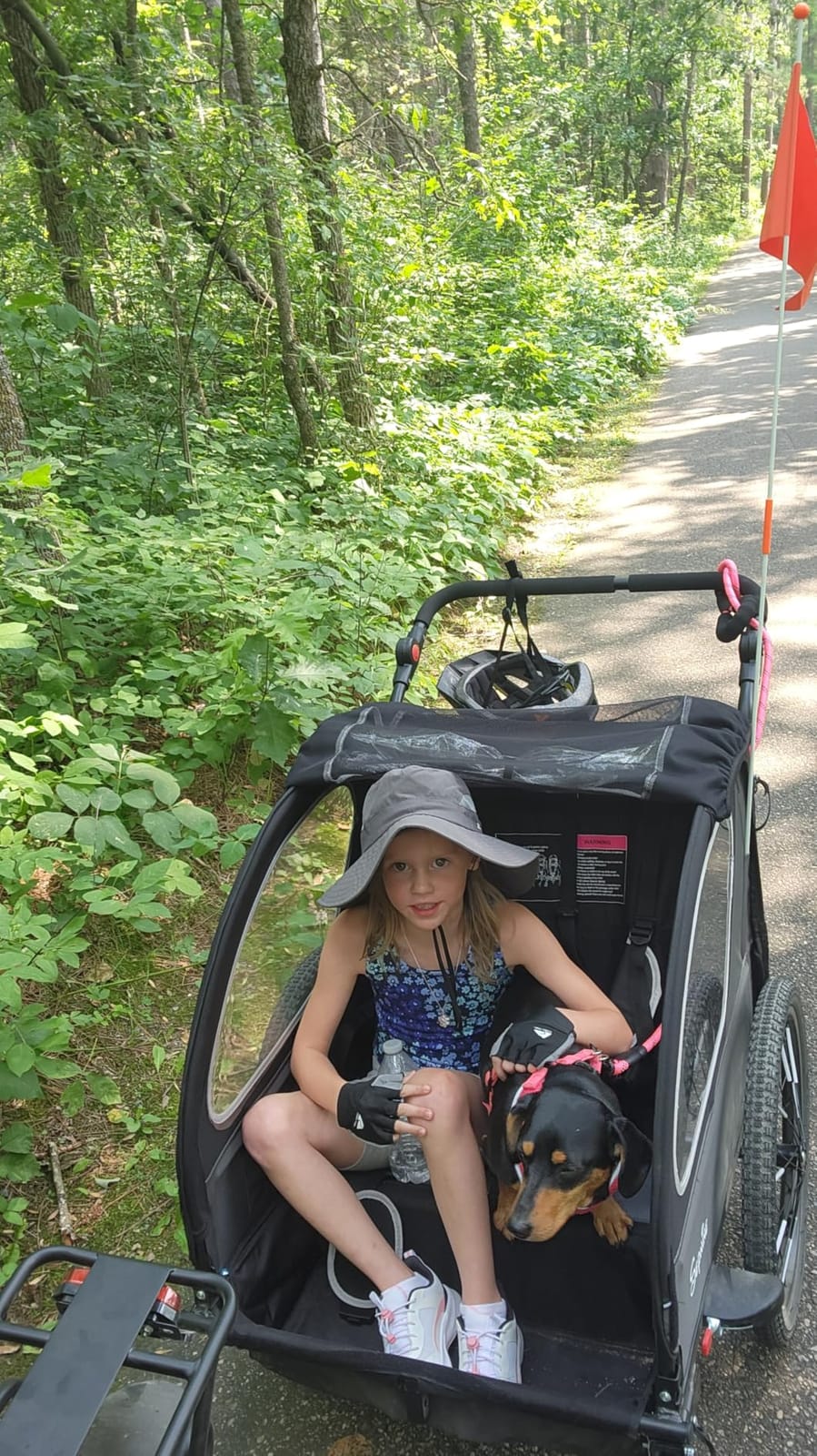 Sepnine Kids Bike Trailer, 2 in1 Canopy Carrier Converts to Pushcart Suitable for 1 to 2 Toddlers, Kids, Quick Attach to Bike, Foldable, with 5-Point Harness and Storage Bags customer photo 1