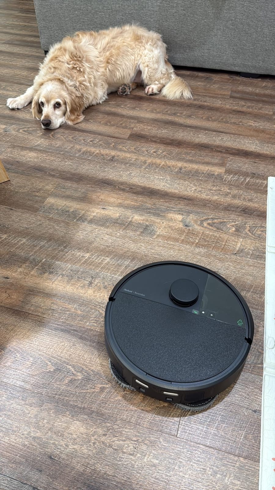iRobot Roomba Plus 405 (G185) Combo Robot Vacuum & Mop with AutoWash Dock - Spinning Mop Pads, Self-Empties, Pad Washing & Drying, Self-Cleaning, Pad-Lift, LiDAR Navigation customer photo 2