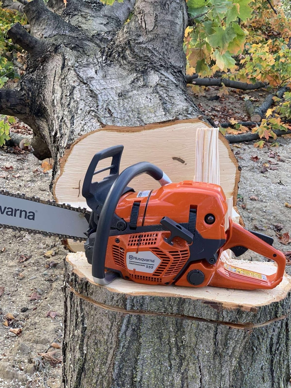 555 Professional Gas Chainsaw, With X-Cut Chain, Outdoor Tools | Gas powered chainsaw, for professional felling, limbing, and bucking small and midsize trees, Smart Start and AutoTune customer photo 2