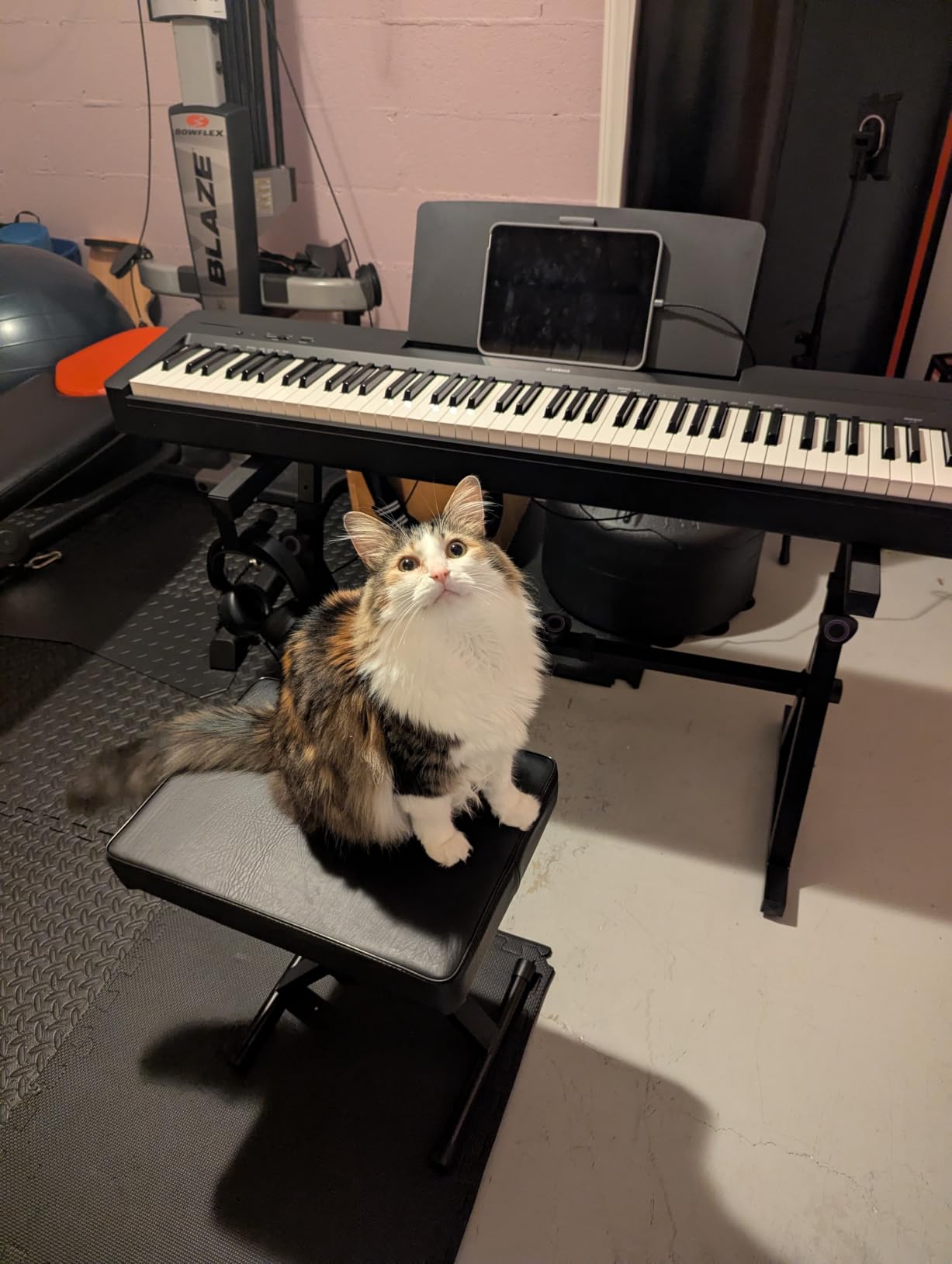 88-Key Digital Piano with Weighted Keys, Compact Design, Bluetooth, Keyboard, Music Rest, Sustain Foot Switch, and Built-in Speakers for Home Practice or Travel P145BT customer photo 1