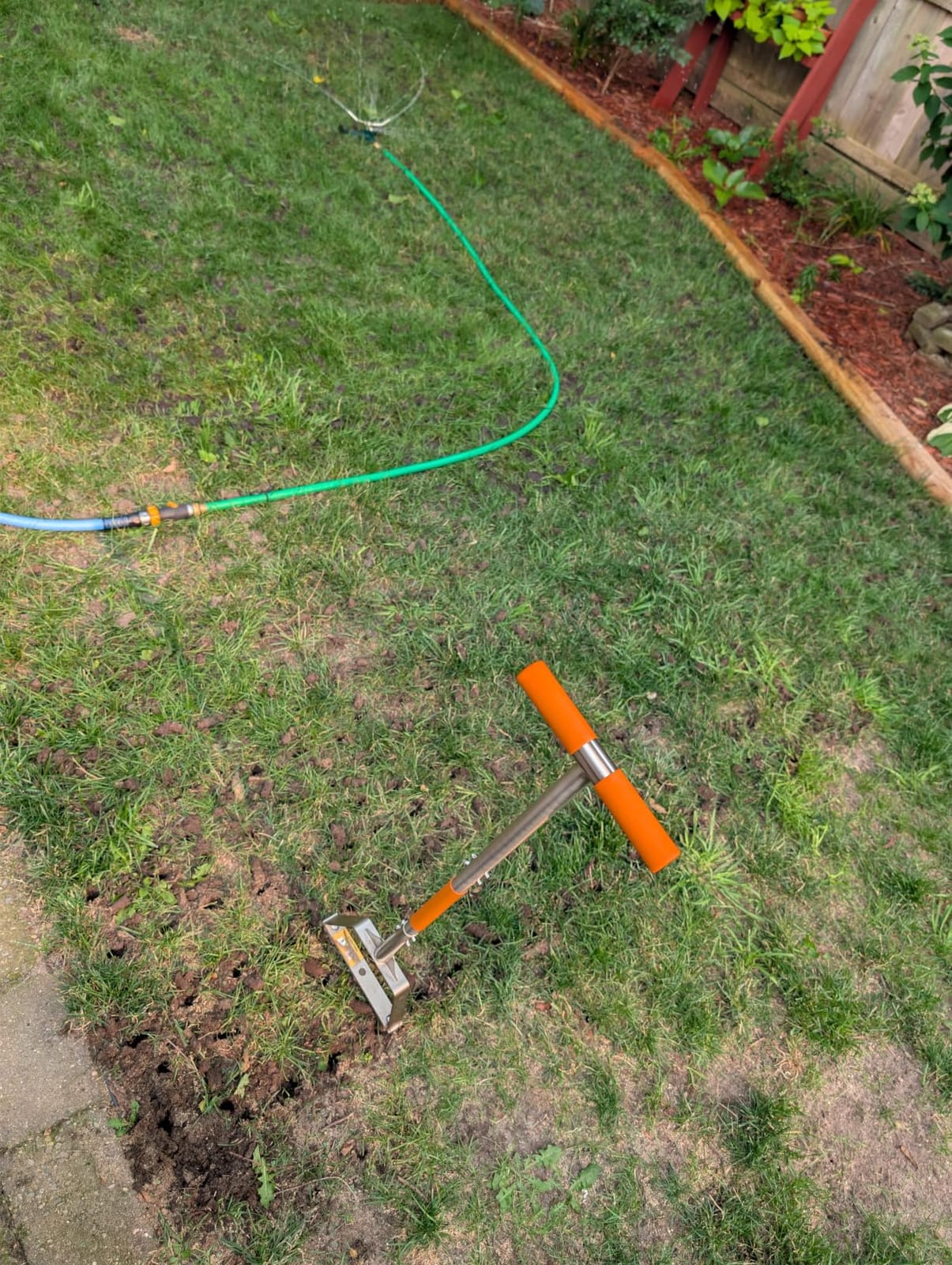 Manual Lawn Core Aerator for Compacted Soil with Non-Clogging Hollow Tines | Pulls Soil Plugs Easily, Bend-Resistant Steel Frame, Wide Foot Pedal, Replaceable Tines, Ideal for Clay Soil - Orange customer photo 1