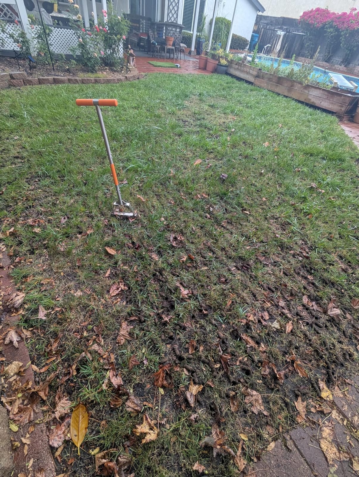 Manual Lawn Core Aerator for Compacted Soil with Non-Clogging Hollow Tines | Pulls Soil Plugs Easily, Bend-Resistant Steel Frame, Wide Foot Pedal, Replaceable Tines, Ideal for Clay Soil - Orange customer photo 2