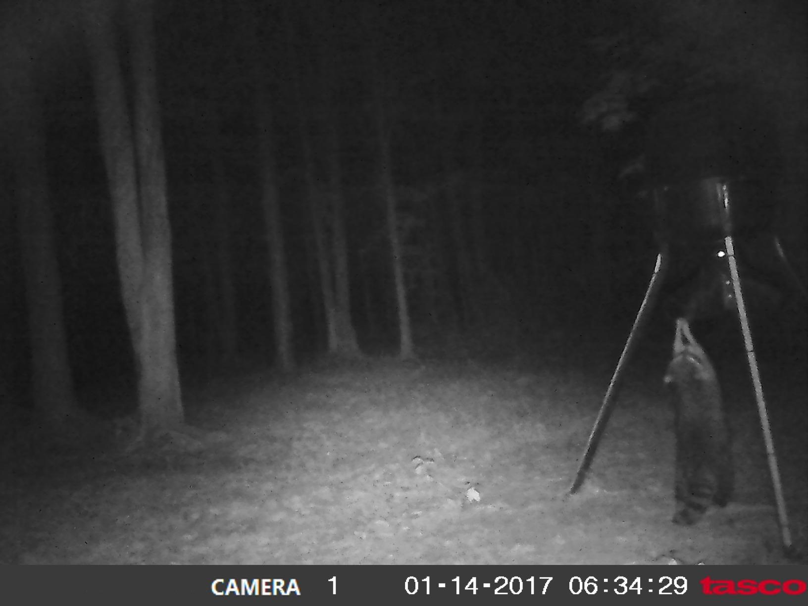 Moultrie Gravity Deer Feeder - Tripod Game Feeder - Easy Conversion Adapter - Protein Pellet Ready - Rugged No-Power Setup for Deer Management customer photo 1