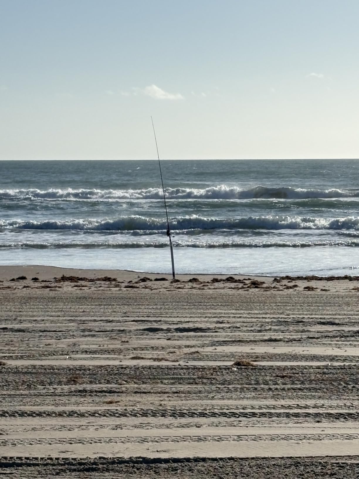 Sougayilang 3 Piece Surf Fishing Rod Combo Medium/Heavy Travel Spinning Rod with 4000/5000 Size Reel Baitfeeder Combo(9'/10'/11'12') customer photo 1