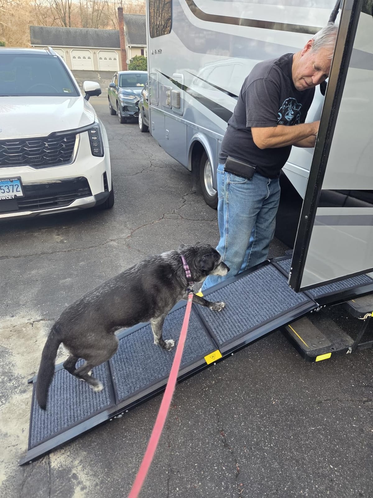 Dog Ramp for Car 71