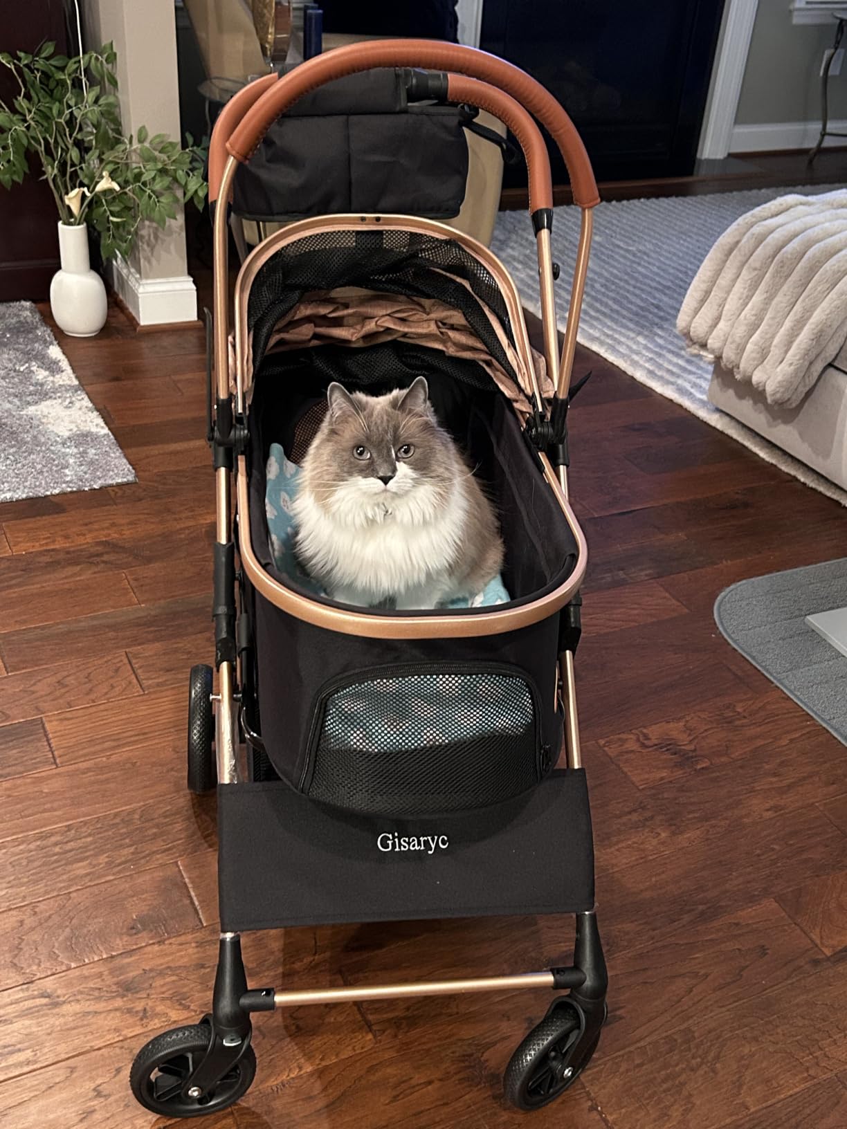 Dog Cat Stroller for Small/Medium Pets, 50 lbs, 3-in-1 Pet Stroller, Grey | Foldable Pet Stroller w/Detachable Carrier, Car Seat, Storage Basket, Cup Holder, Hanging Bag, Rain Cover, All-Terrain Wheels customer photo 1