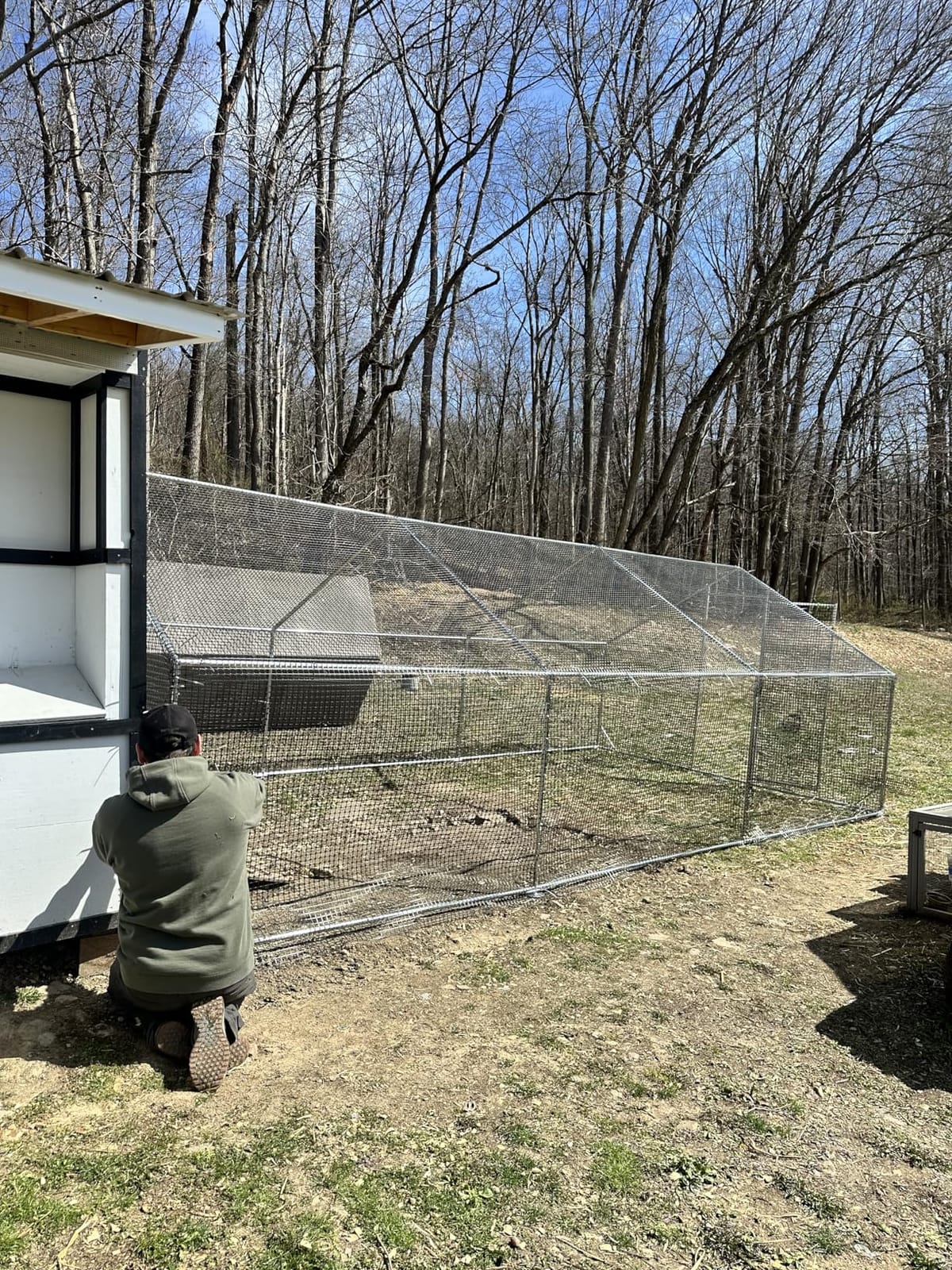 CAMMOO Metal Chicken Coop, 13.1x9.8x6.6ft Chicken Run for Yard with Cover | Upgrade Double Lock & Mesh, Stainless Steel Ties, Easy Assembly, Chicken Pen for Ducks, Rabbits customer photo 1