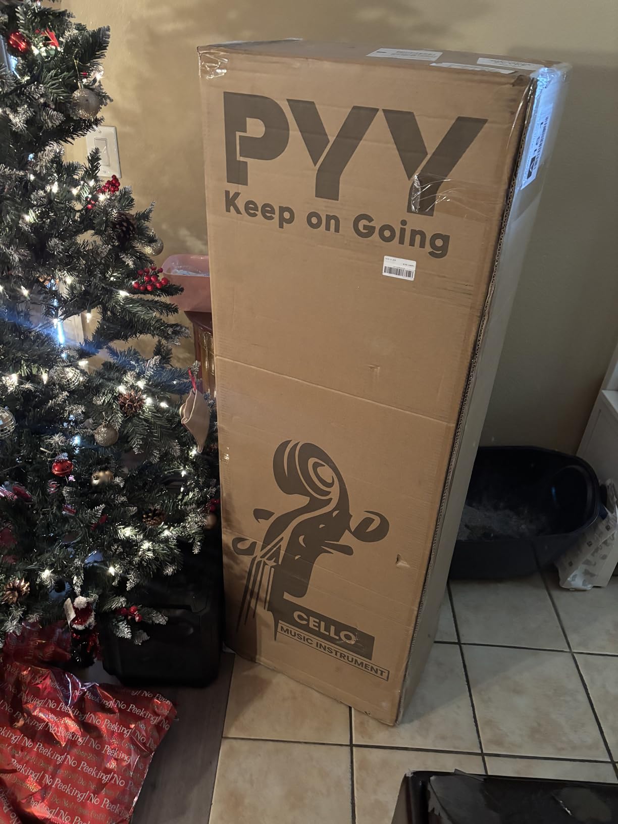 PYY Cello 4/4 Full Size - Solid Wood Acoustic Cello Package with Stand, Case, Bow, Rosin, Tuner & Extra Strings, Perfect for Students & Adult Beginners (Red) customer photo 1