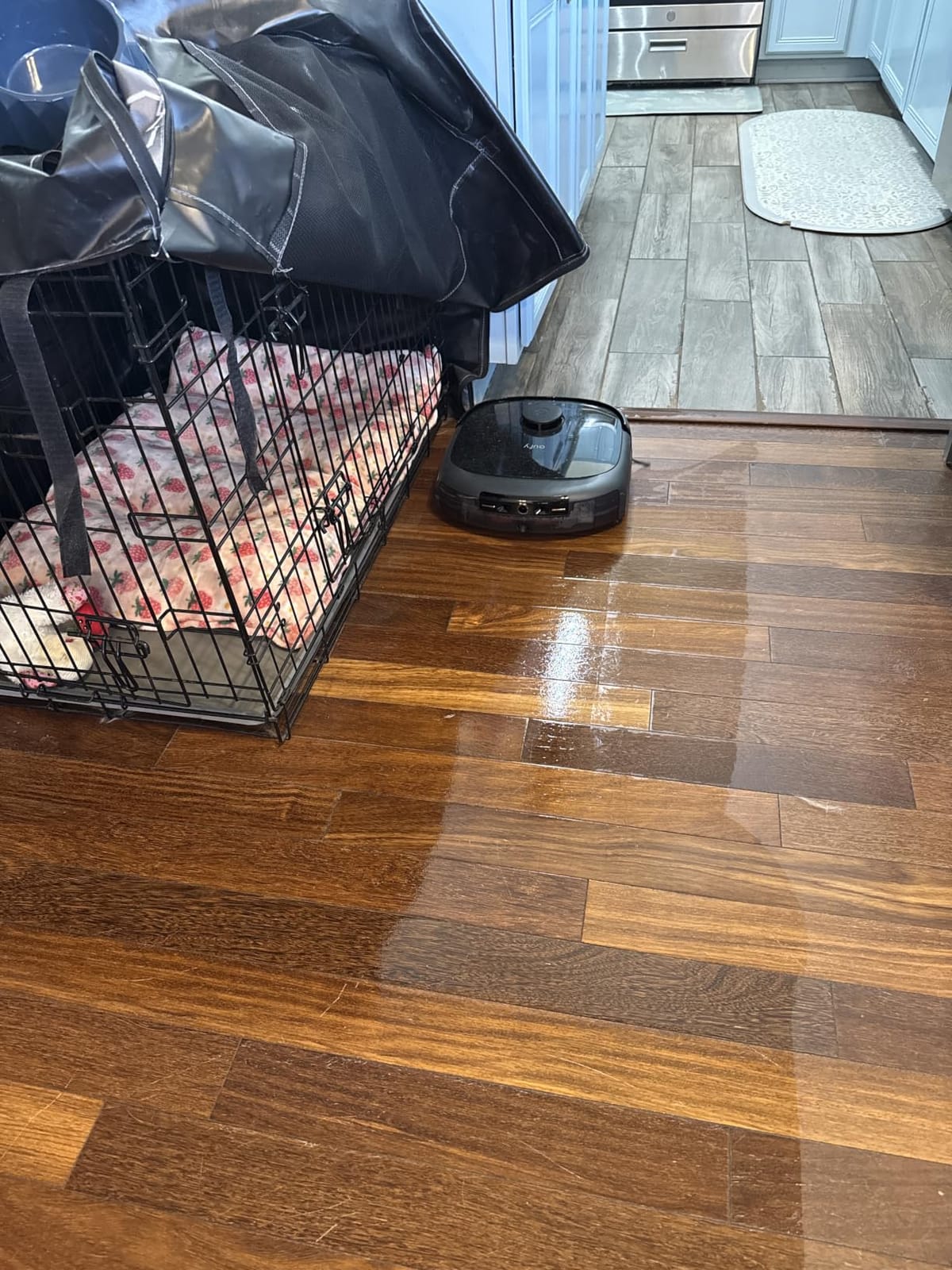 eufy Omni C20 Robot Vacuum and Mop Combo for Hardwood and Carpet | 60 Days Self Emptying, Auto Mop Washing and Drying, 3.35