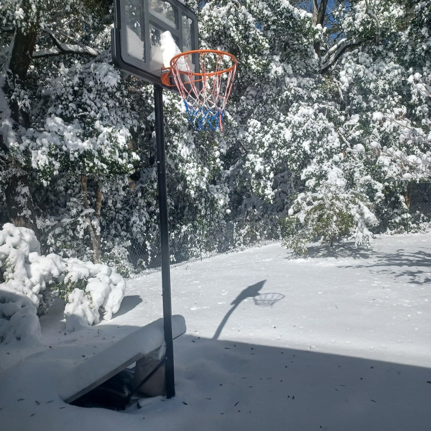 IGL Portable Basketball Hoop, 5.6-10FT Adjustable Basketball Goal System, 40/44 Inch Outdoor Basketball Hoop & Goals for Kids, Youth, and Adults in The Backyard, Driveway with PC Backboard customer photo 1