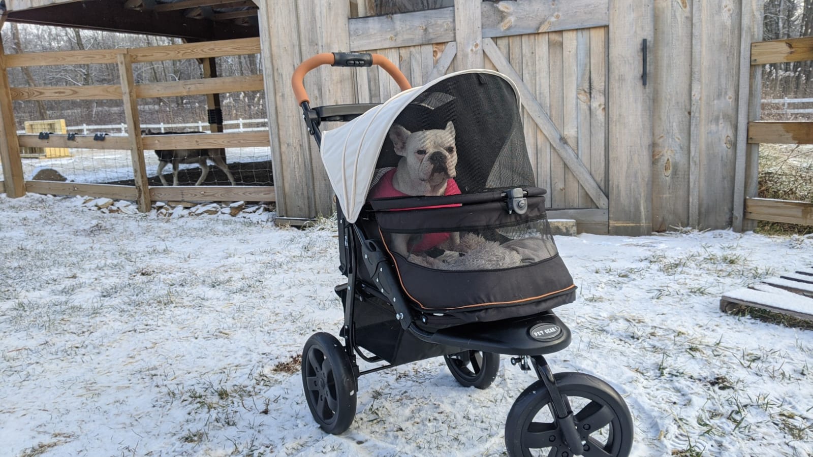 Pet Gear No-Zip AT3 Pet Stroller for Cats/Dogs, Sea Salt | Zipperless Entry, Easy One-Hand Fold, Jogging Tires, Removable Liner, Cup Holder + Storage Basket customer photo 1