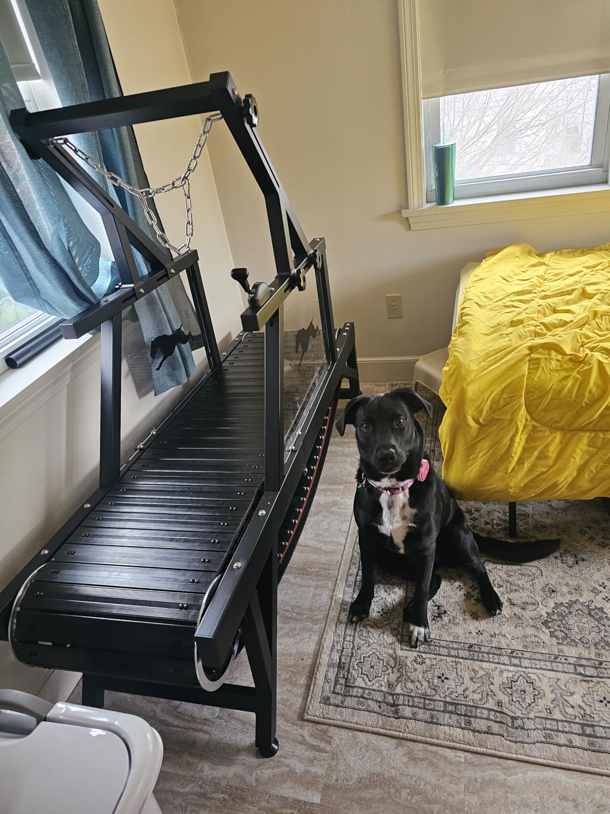 Dog Treadmill, HotFeed Dog Slat Mill for Medium Dogs, Doggy Treadmill with Brake & Plastic Track, Dog Pacer Treadmill to Keep Active and Fit, Up to 300LBS customer photo 1