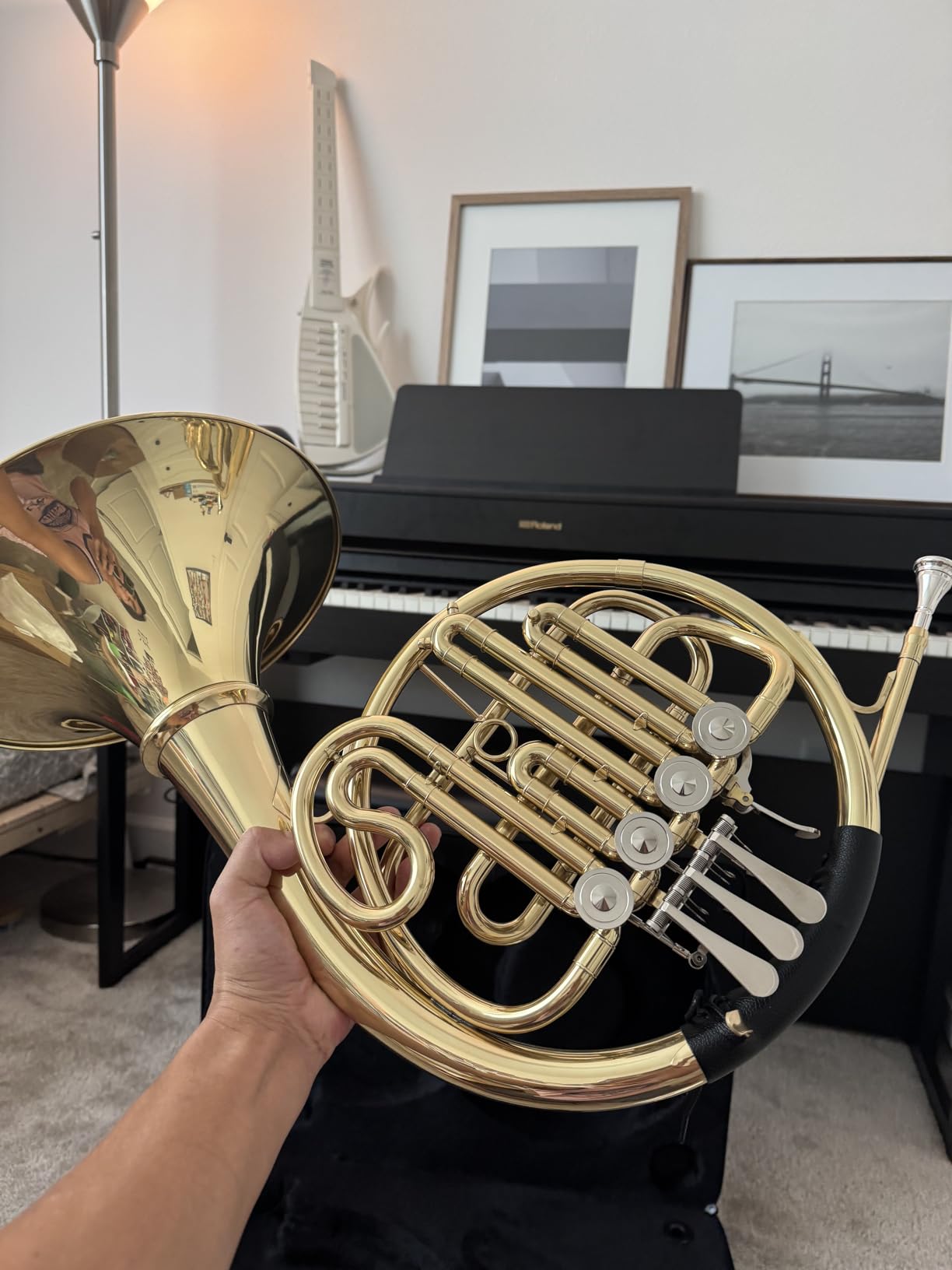 Double French Horn F/Bb Key, Professional 4-Valve Nickel-Plated & Gold Lacquer Brass - Includes Case, Mouthpiece, Gloves & Cleaning Cloth for Students, Musicians & Orchestra Use customer photo 2