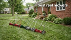 best reel mowers