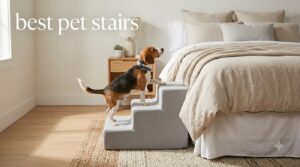 best pet stairs