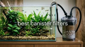 best canister filters