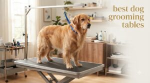 best dog grooming tables
