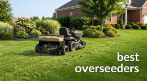 best overseeders
