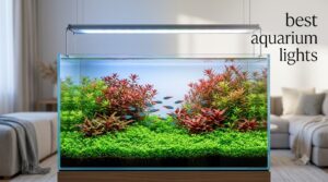 best aquarium lights