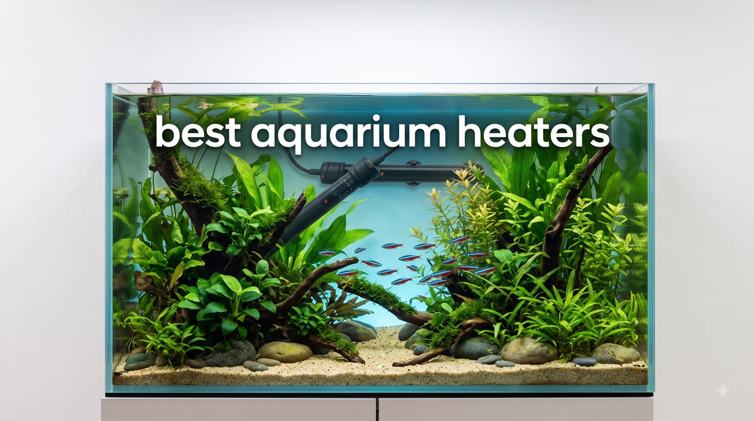 best aquarium heaters