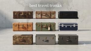 best travel trunks