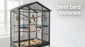 best bird aviaries