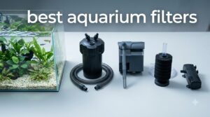 best aquarium filters
