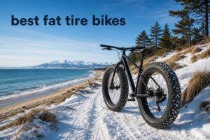 best fat tire bikes