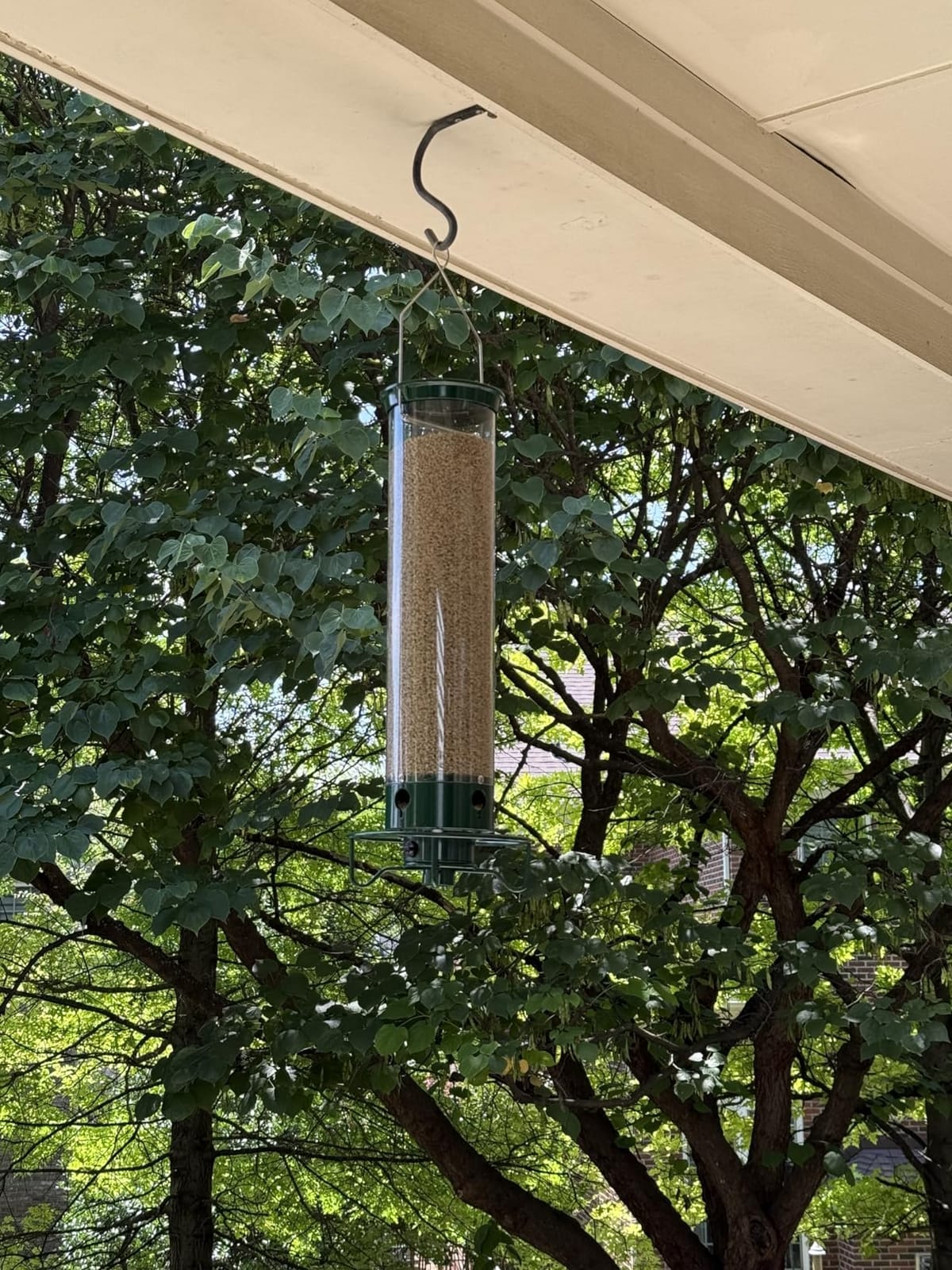 Droll Yankees Squirrel Proof Bird Feeder for Outdoors, 5 lb Seed Capacity customer photo 2