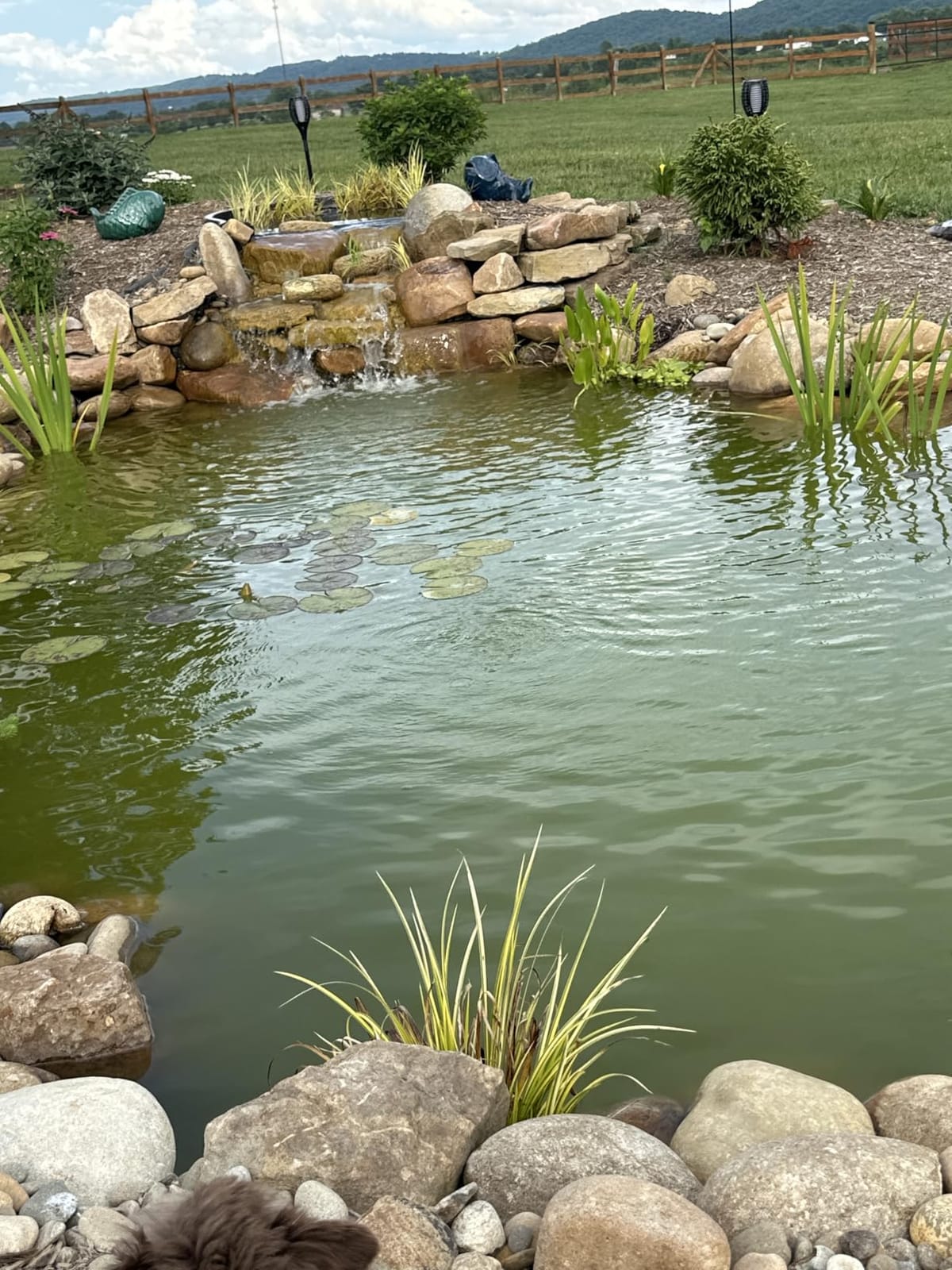 Summit Clear-Water Barley Straw Pond Treatment, 2-Pack, Treats upto 2000 Gallons, 1000 Gallons per Bale customer photo 1