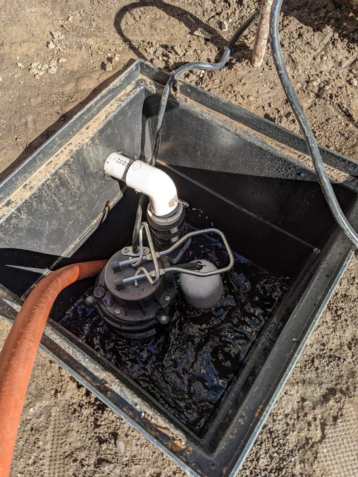 WAYNE CDU800 1/2 HP Submersible Sump Pump – Cast Iron & Stainless Steel, Vertical Float Switch, 5,100 GPH, 3-Year Warranty customer photo 1