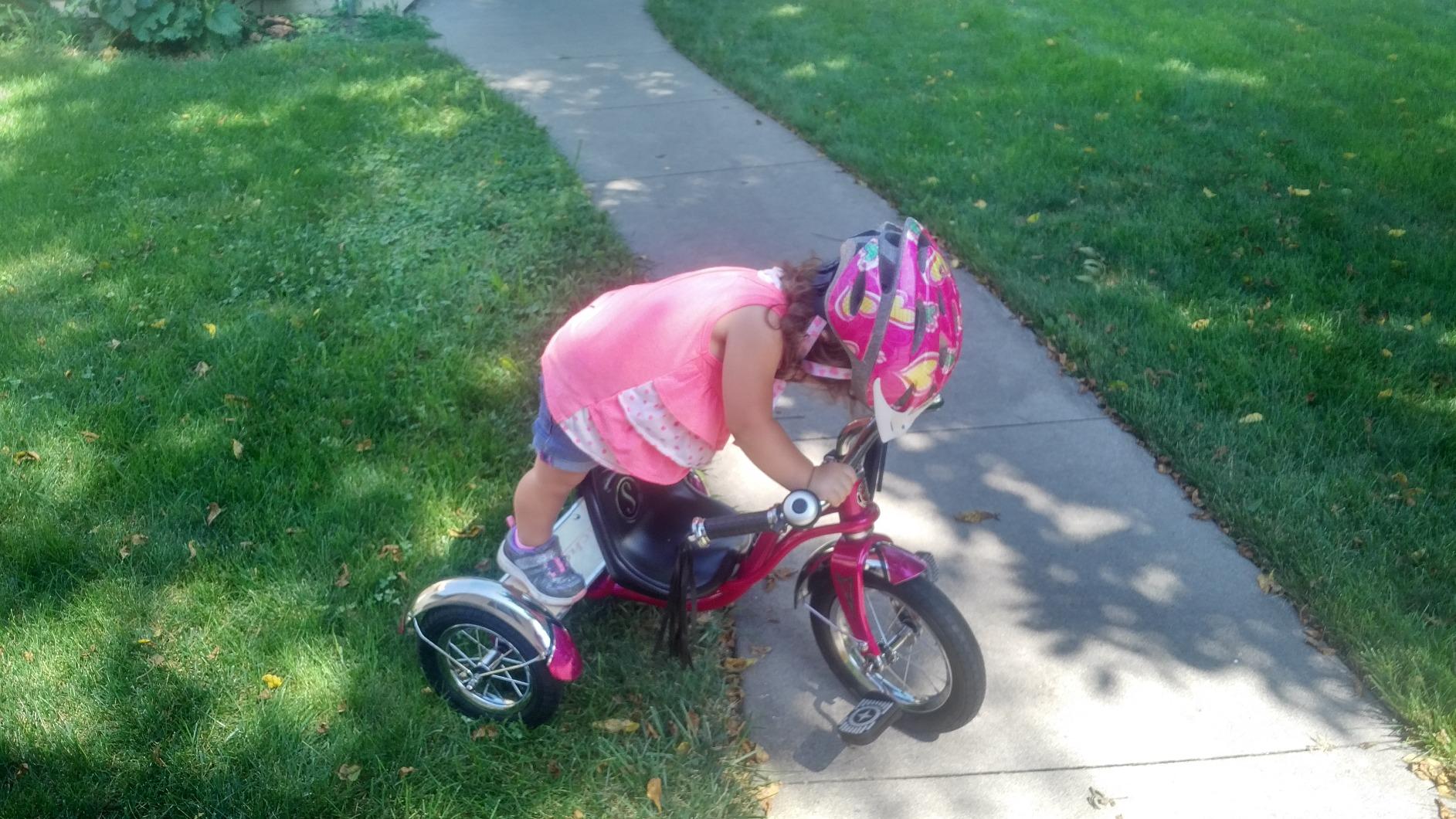Schwinn Roadster Tricycle, 12 Inch Front Wheel Bike for Kids Ages 2-4, Low Center of Gravity, Retro Steel Frame, Adjustable Seat Grows with your Child, Rear Deck, Tricycle for Toddlers customer photo 2